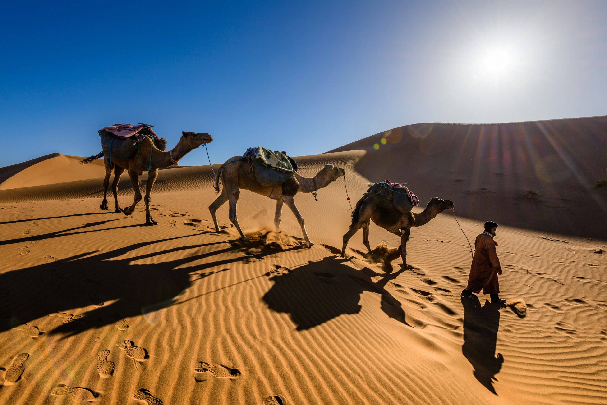 Unveiling the Magic of North Africa: A Must-Do Travel Experience