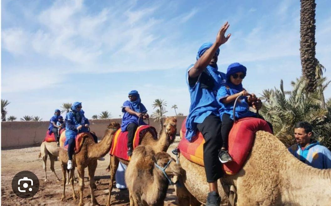 Camel Ride