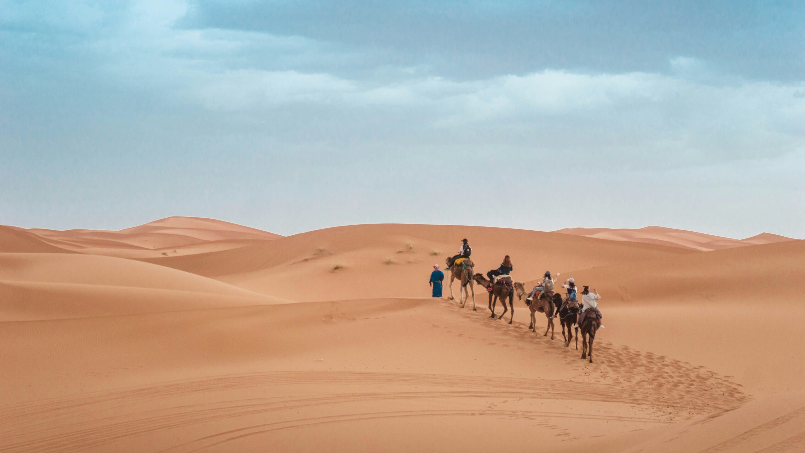 Imago Travel: Your Go-To Travel Agency for Bespoke Private Tours in Morocco