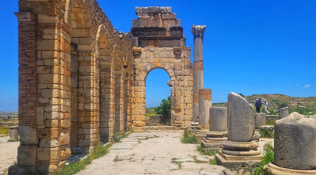 Volubilis 1